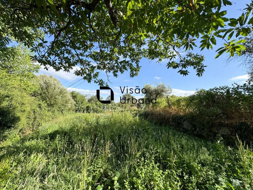 Terreno para Venda em Campo Foto 5