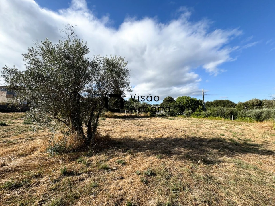 Terreno para Venda em Campo Foto 11