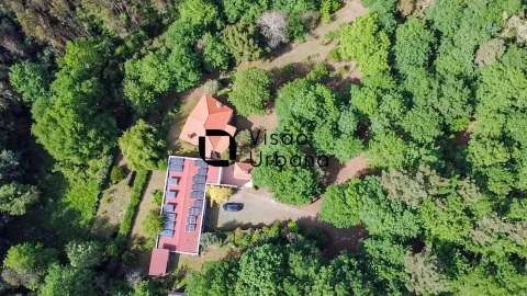 Quinta T6 para Venda em Ovoa e Vimieiro