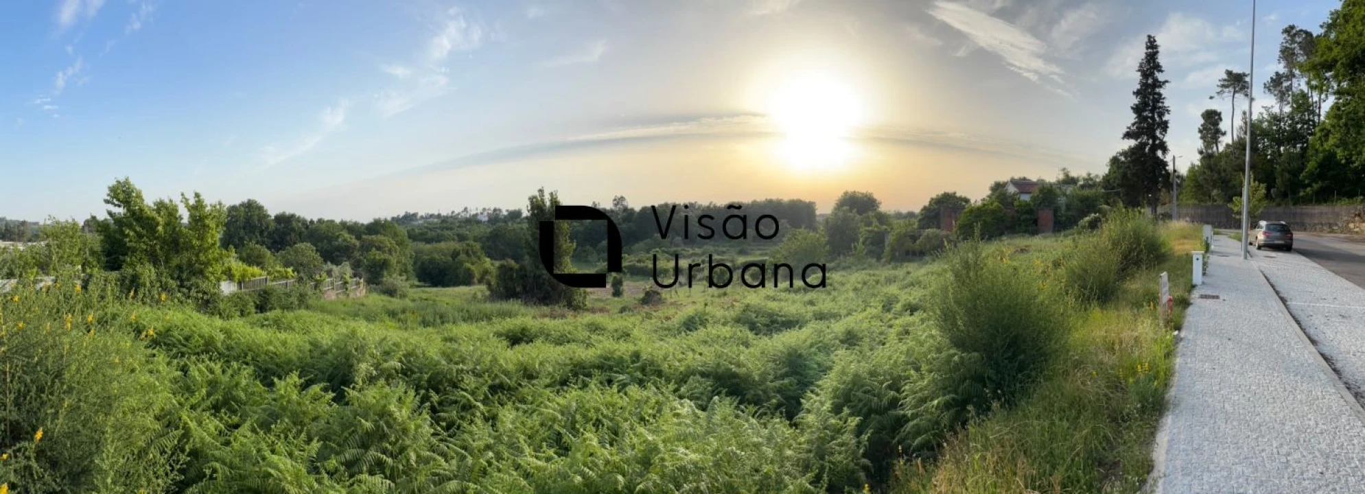 Terreno para Venda em Repeses e São Salvador Foto 5