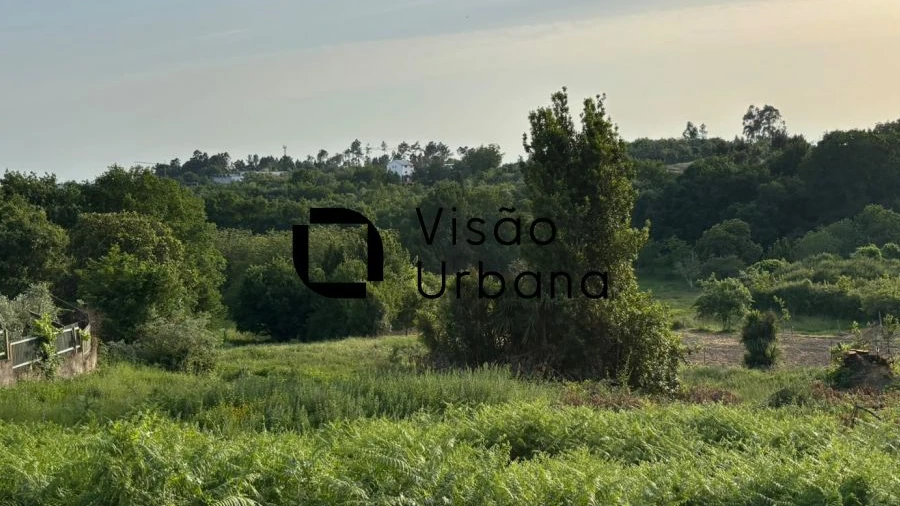 Terreno para Venda em Repeses e São Salvador