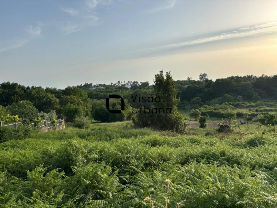 Terreno para Venda em Repeses e São Salvador Foto 1