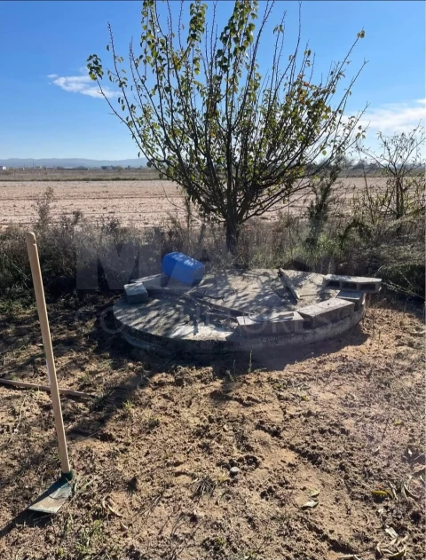 Terreno para Venda em Almeirim