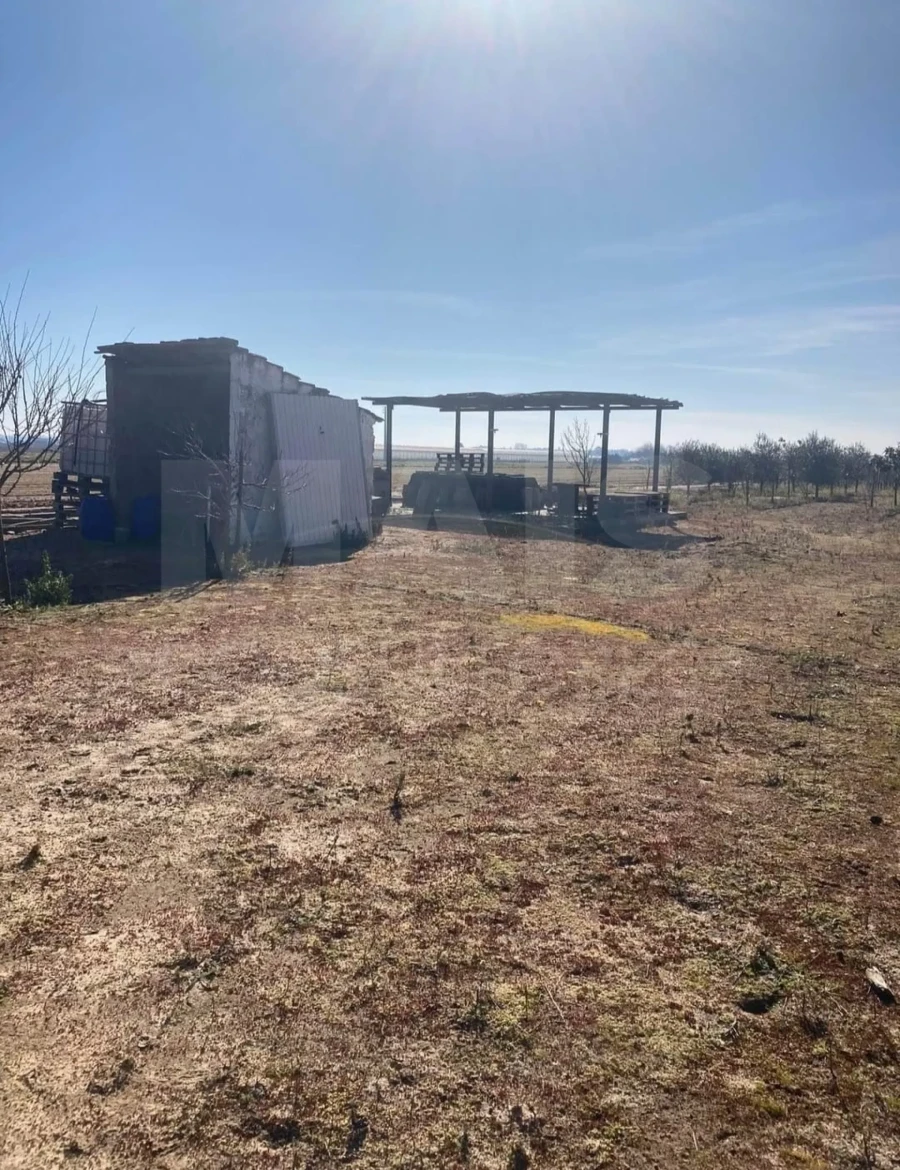 Terreno para Venda em Almeirim Foto 5