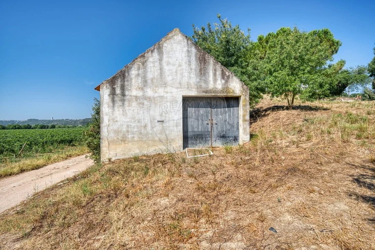 Moradia T3 para Venda em Marvila, Ribeira Santarém, São Salvador, São Nicolau Foto 26