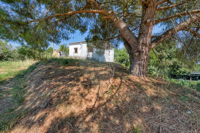 Moradia T3 para Venda em Marvila, Ribeira Santarém, São Salvador, São Nicolau Foto 36