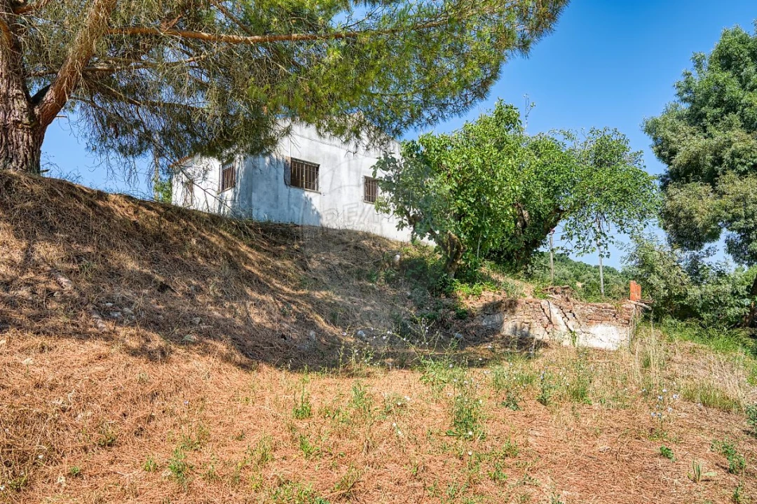 Moradia T3 para Venda em Marvila, Ribeira Santarém, São Salvador, São Nicolau Foto 31
