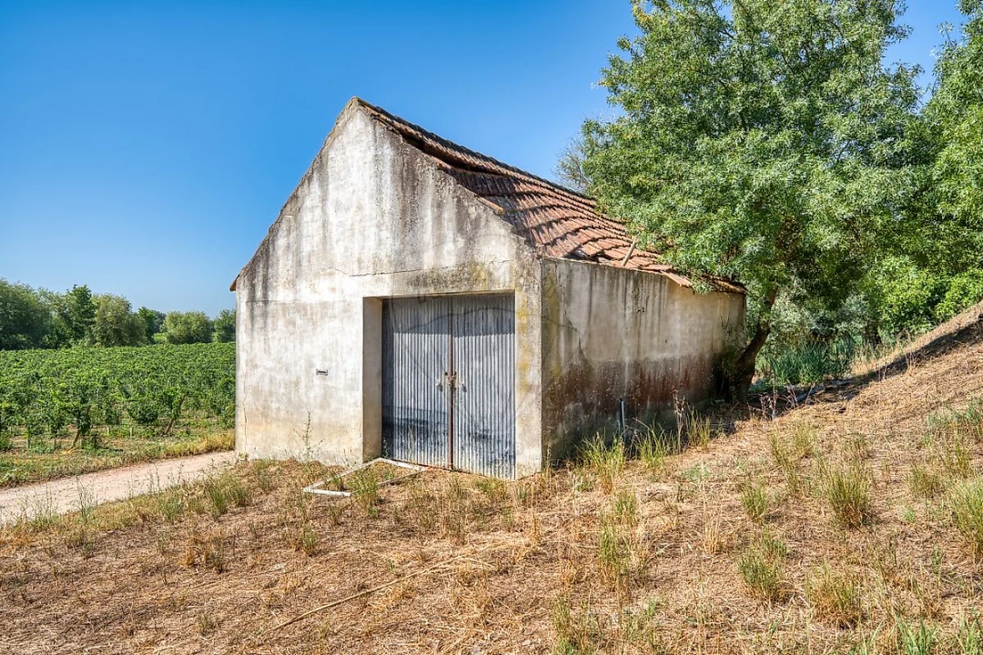 Moradia T3 para Venda em Marvila, Ribeira Santarém, São Salvador, São Nicolau Foto 29