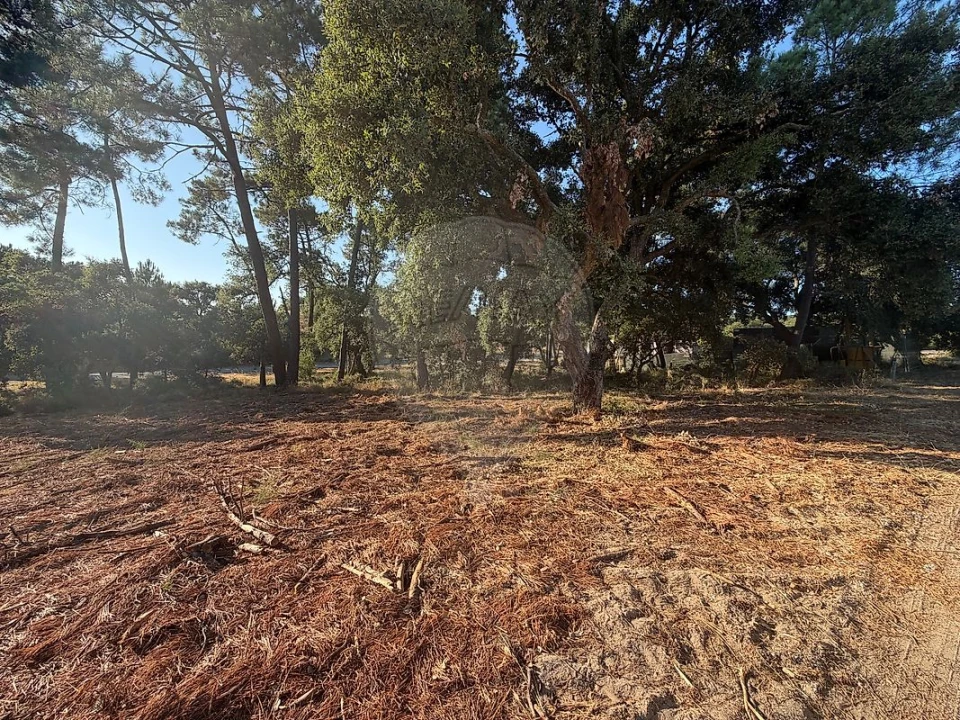 Terreno para Venda em Palhais e Coina Foto 5