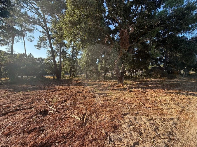 Terreno para Venda em Palhais e Coina Foto 5