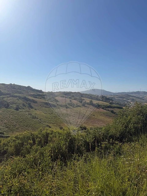 Terreno para Venda em Sapataria