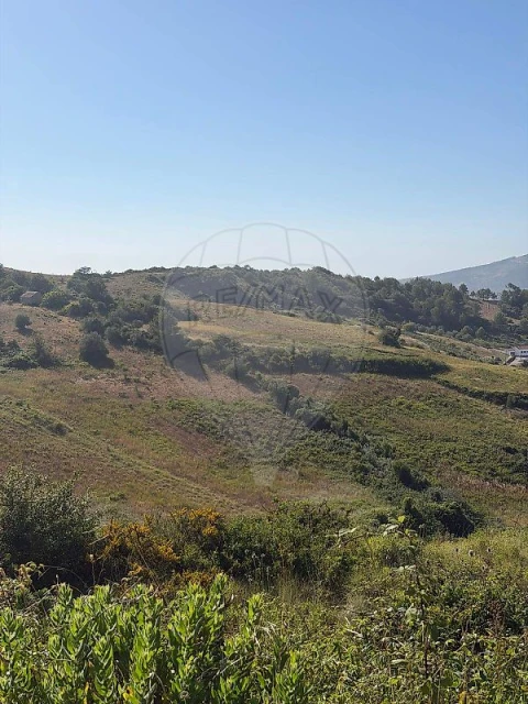 Terreno para Venda em Sapataria