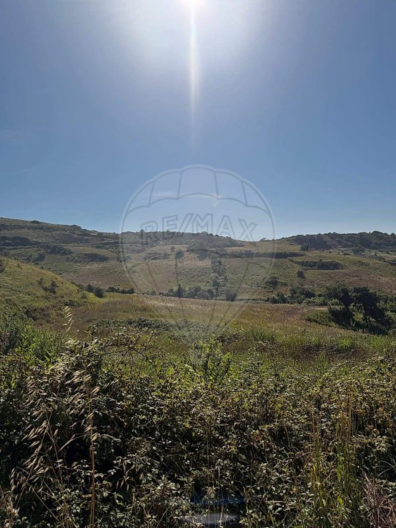 Terreno para Venda em Sapataria Foto 6