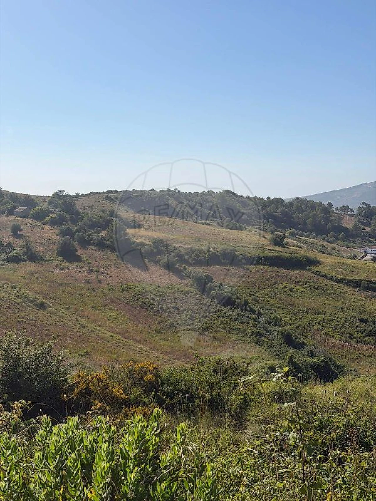 Terreno para Venda em Sapataria Foto 1