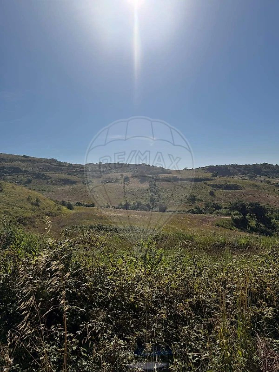 Terreno para Venda em Sapataria Foto 6