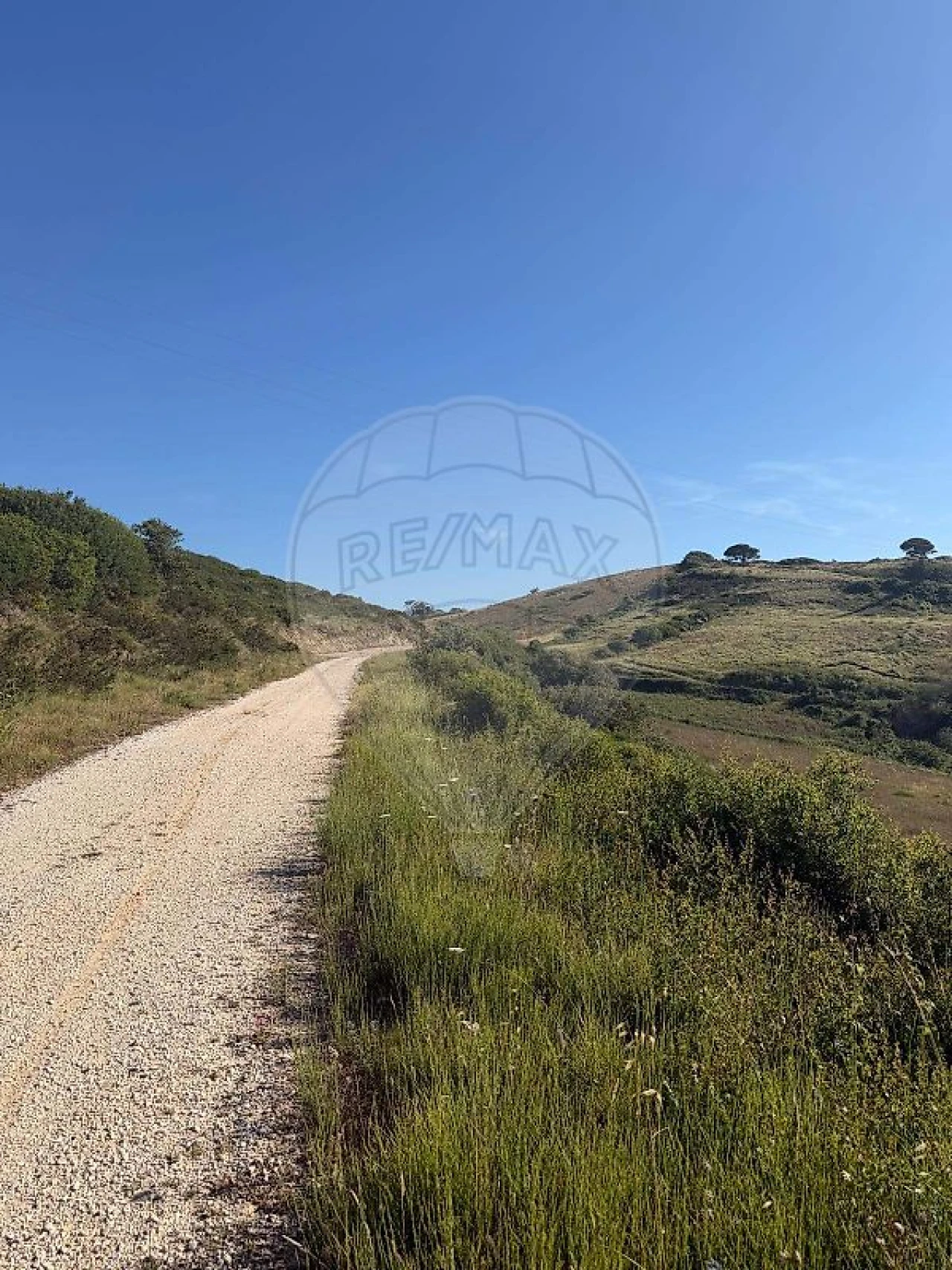 Terreno para Venda em Sapataria Foto 3