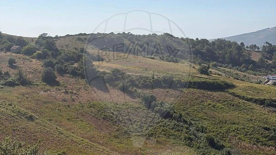 Terreno para Venda em Sapataria