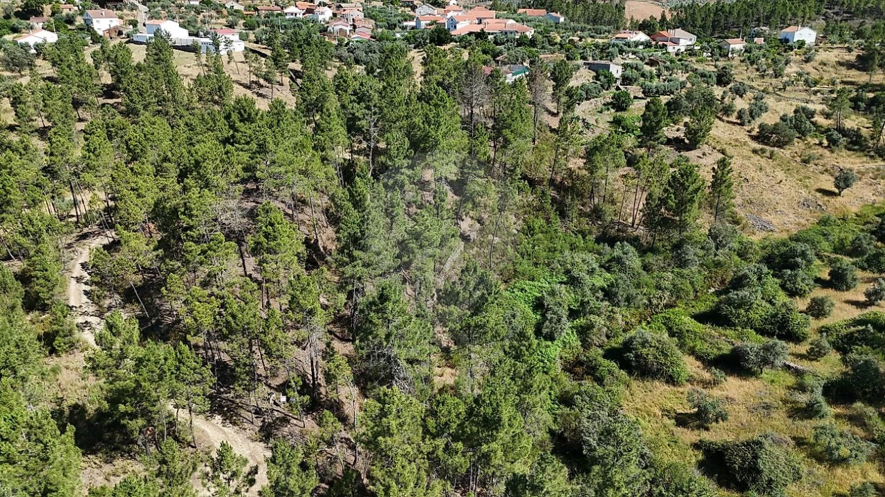 Terreno para Venda em São Vicente da Beira Foto 1
