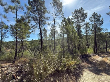 Terreno para Venda em São Vicente da Beira