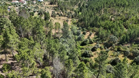 Terreno para Venda em São Vicente da Beira