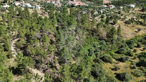 Terreno para Venda em São Vicente da Beira