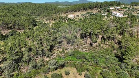 Terreno para Venda em São Vicente da Beira