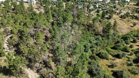 Terreno para Venda em São Vicente da Beira