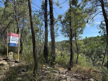 Terreno para Venda em São Vicente da Beira