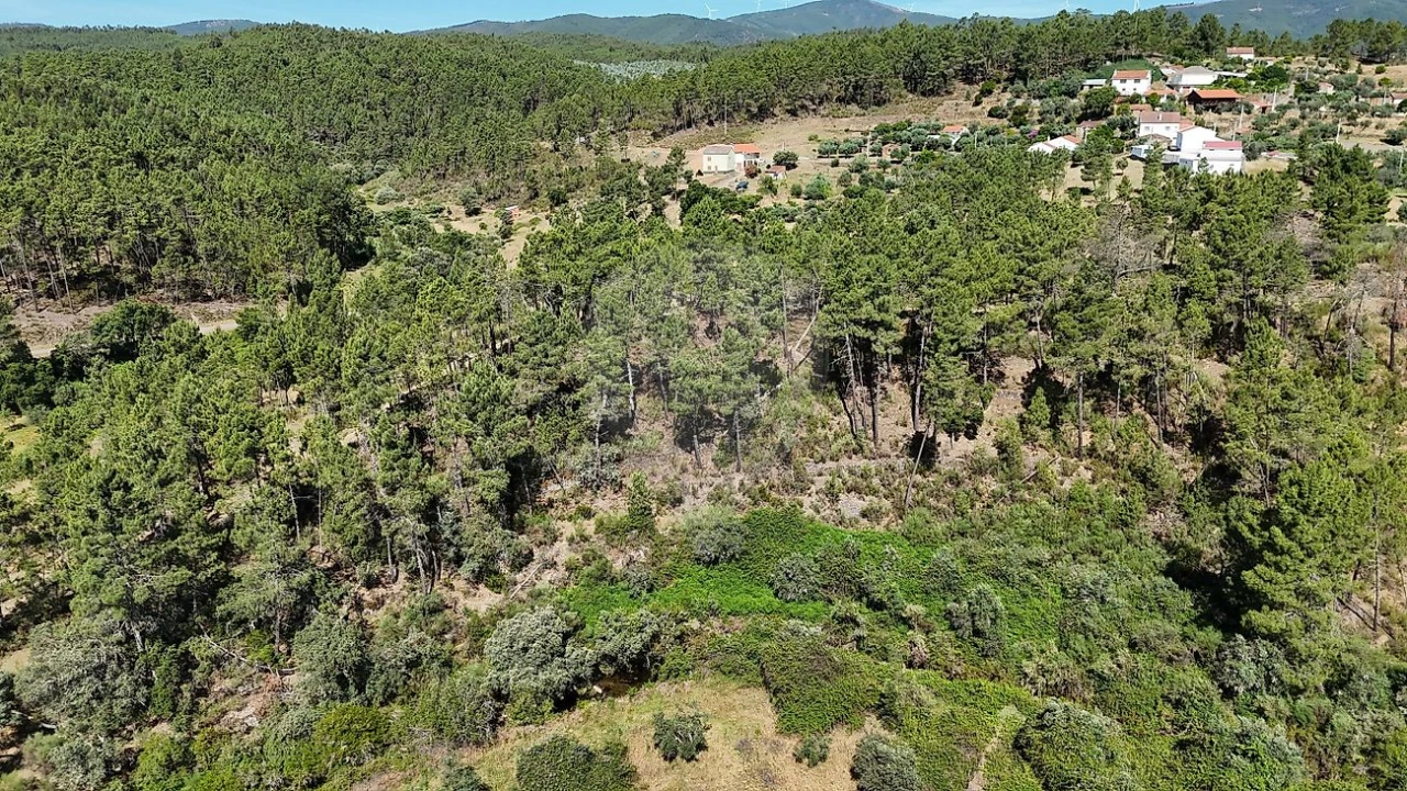 Terreno para Venda em São Vicente da Beira Foto 2