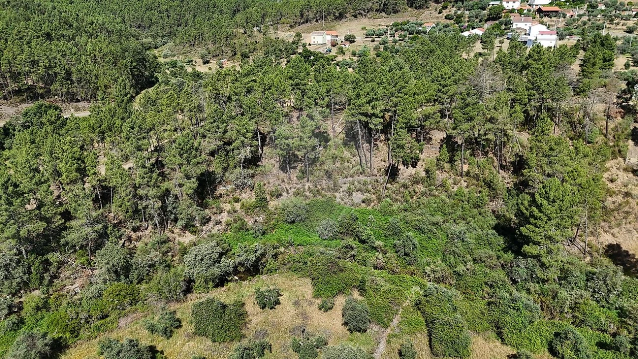 Terreno para Venda em São Vicente da Beira Foto 3