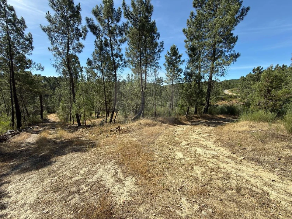 Terreno para Venda em São Vicente da Beira Foto 9