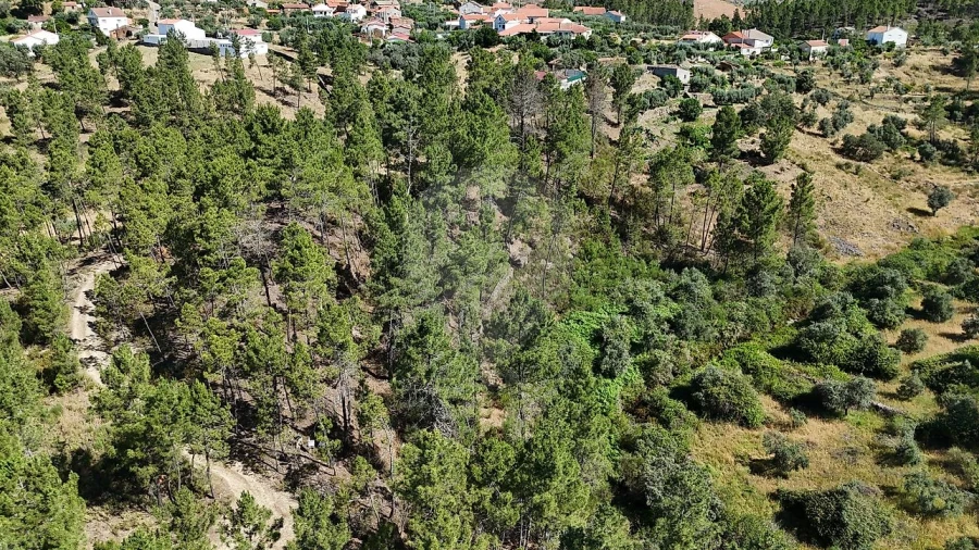 Terreno para Venda em São Vicente da Beira