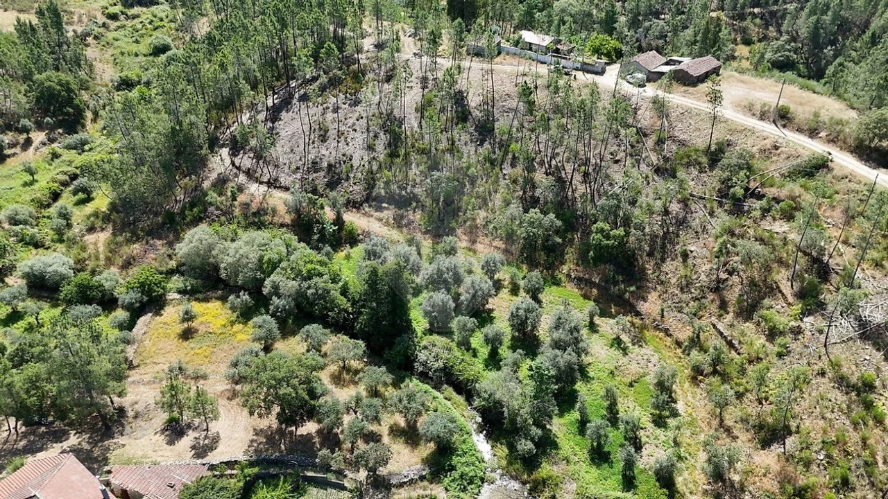 Terreno para Venda em São Vicente da Beira Foto 5