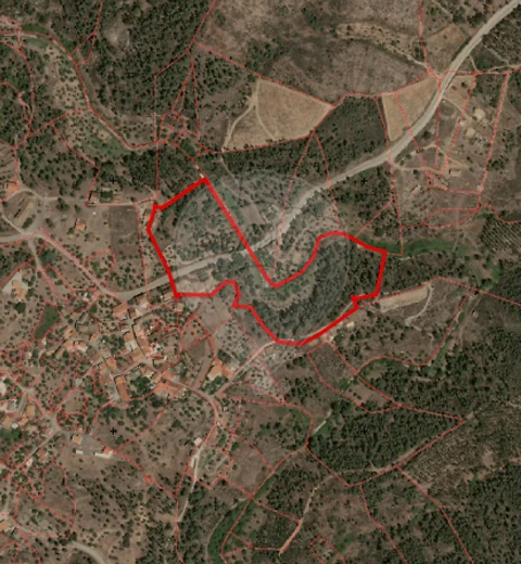 Terreno para Venda em São Vicente da Beira