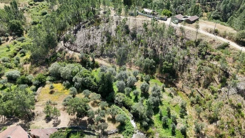 Terreno para Venda em São Vicente da Beira