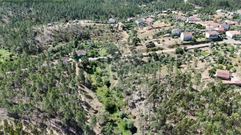 Terreno para Venda em São Vicente da Beira