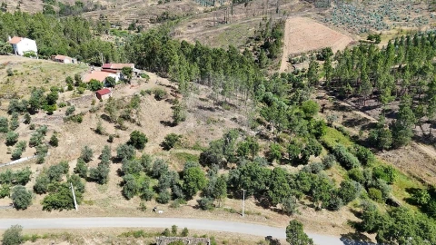 Terreno para Venda em São Vicente da Beira
