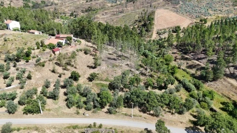Terreno para Venda em São Vicente da Beira