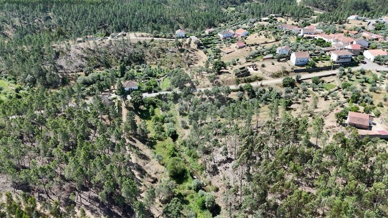 Terreno para Venda em São Vicente da Beira Foto 1