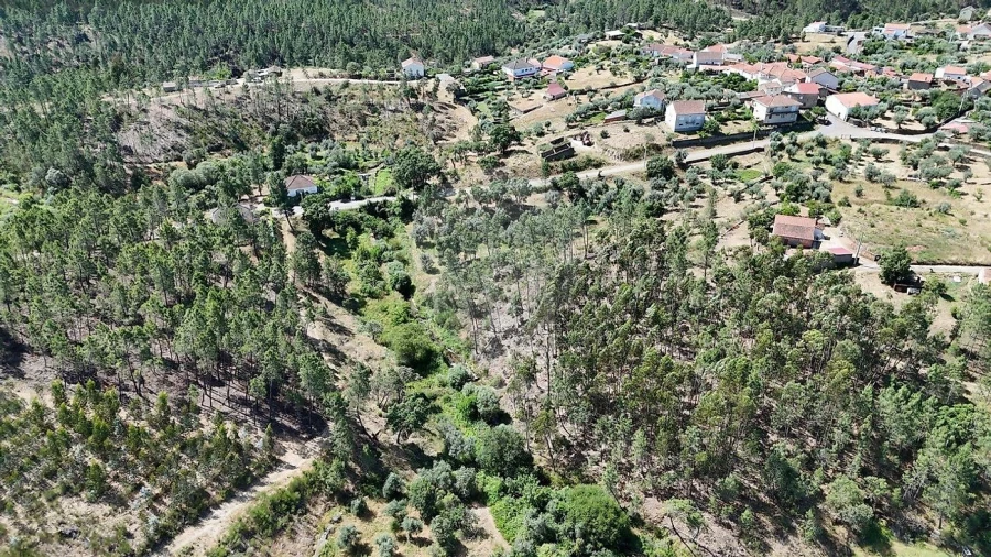 Terreno para Venda em São Vicente da Beira Foto 9