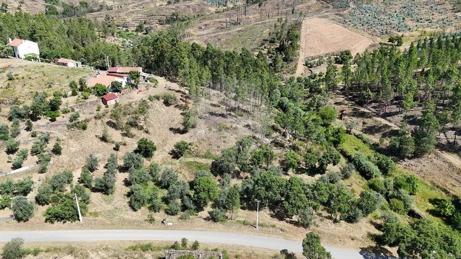 Terreno para Venda em São Vicente da Beira Foto 10