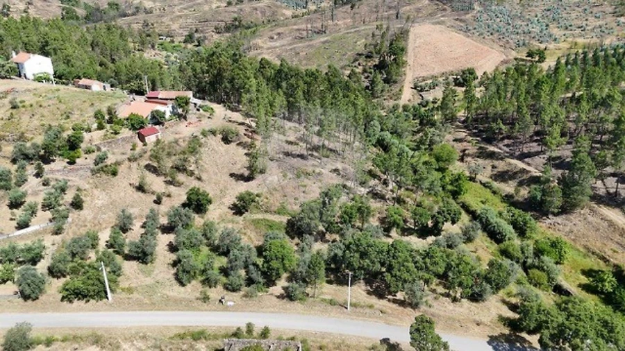 Terreno para Venda em São Vicente da Beira Foto 7