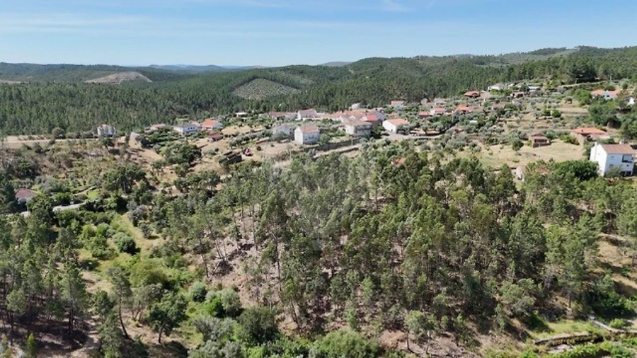 Terreno para Venda em São Vicente da Beira Foto 2
