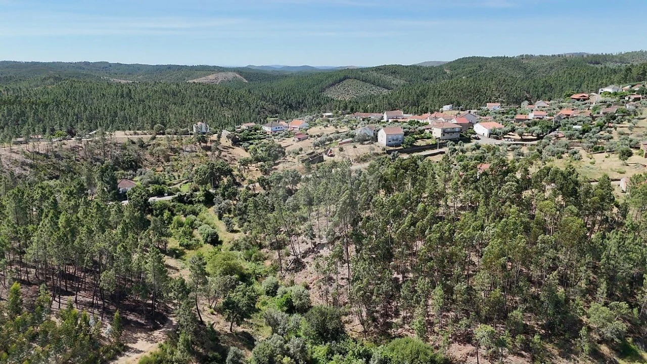 Terreno para Venda em São Vicente da Beira Foto 3