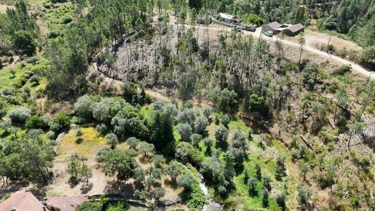 Terreno para Venda em São Vicente da Beira Foto 8
