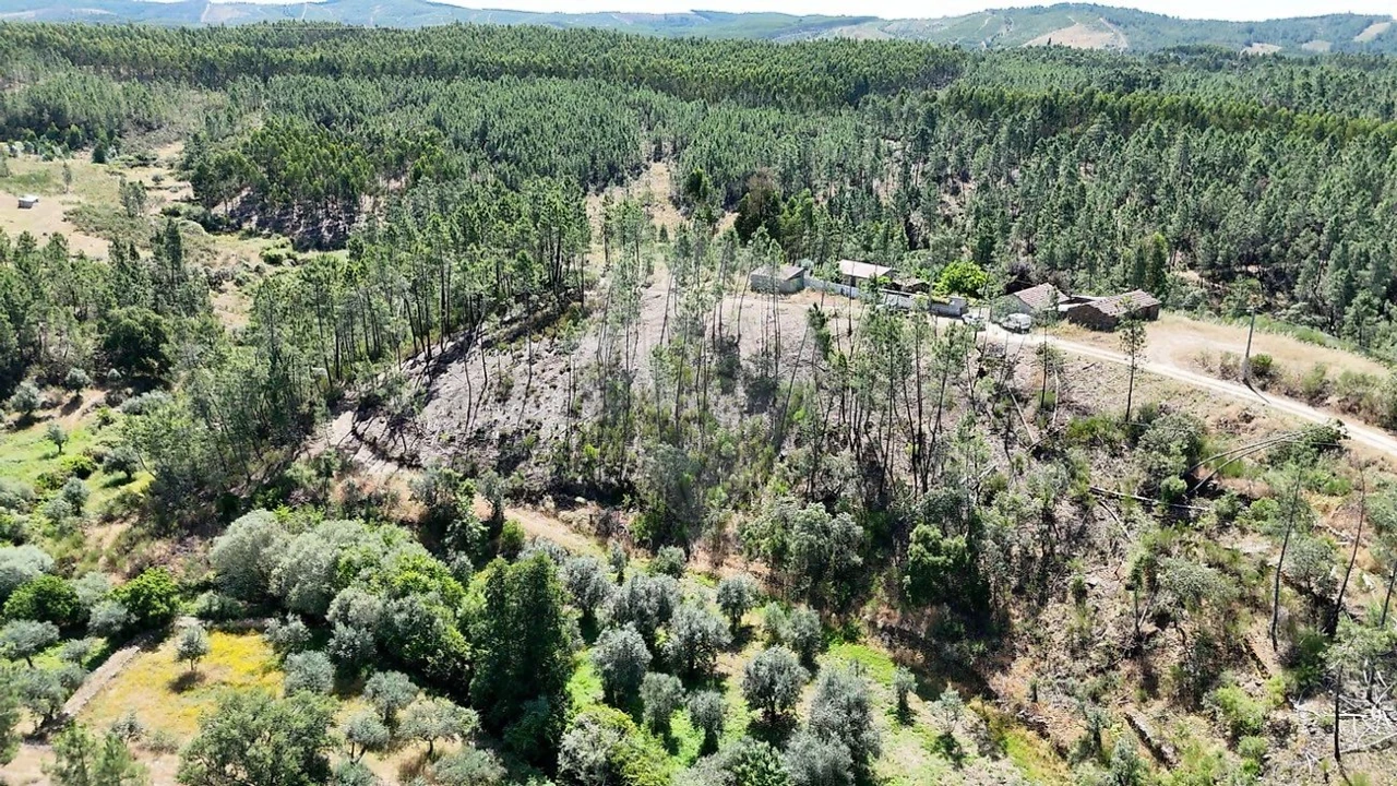 Terreno para Venda em São Vicente da Beira Foto 6