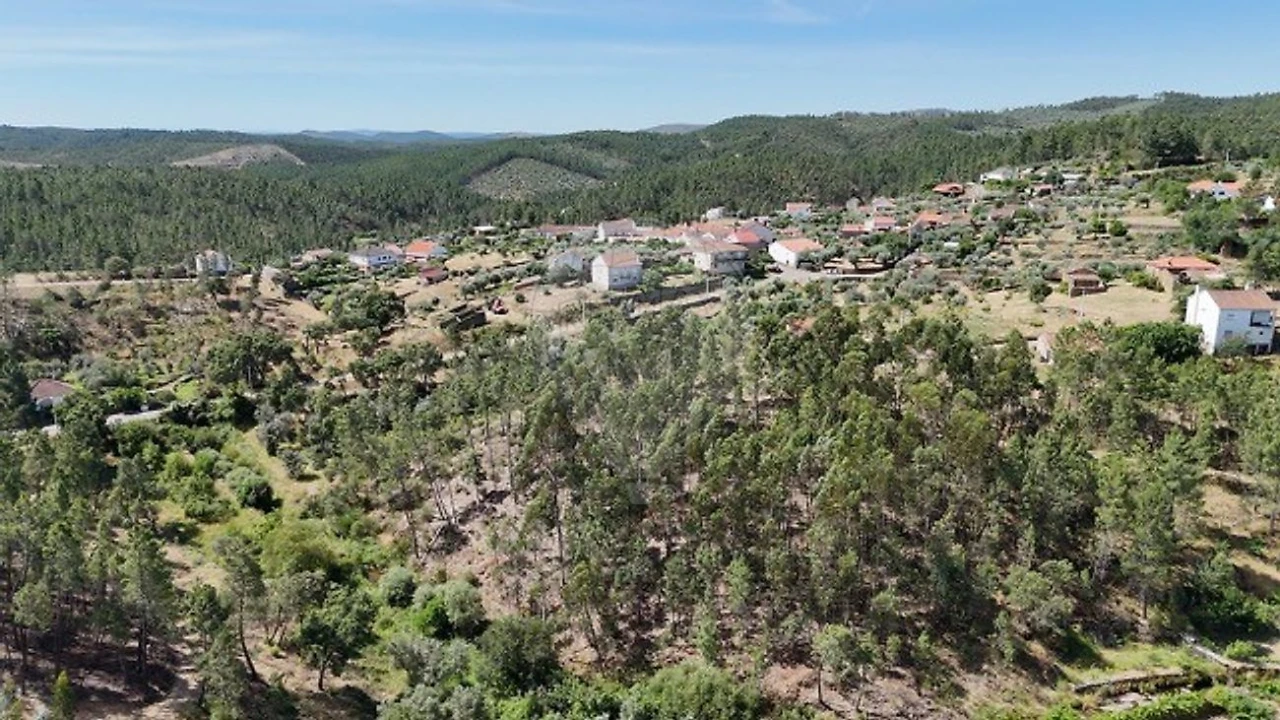 Terreno para Venda em São Vicente da Beira Foto 2