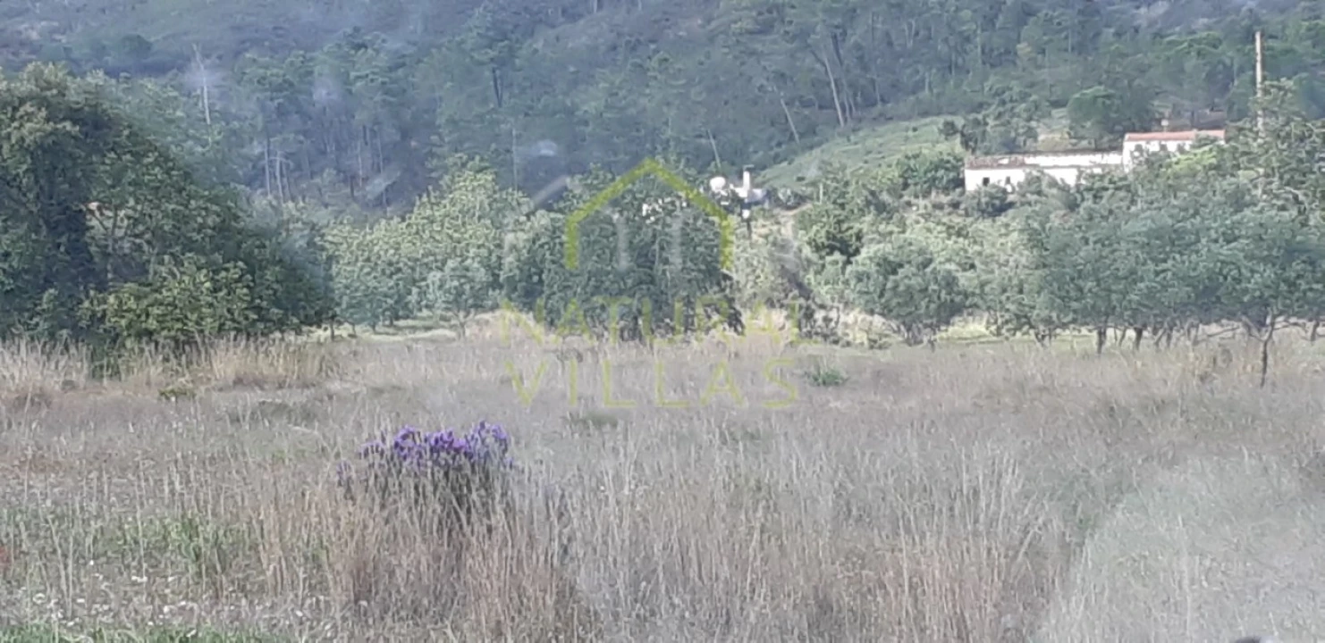 Terreno Agricola ou Rústico para Venda em Salir Foto 2