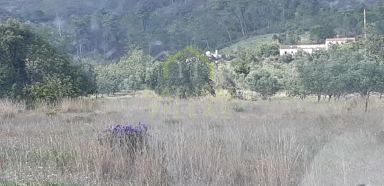 Terreno Agricola ou Rústico para Venda em Salir
