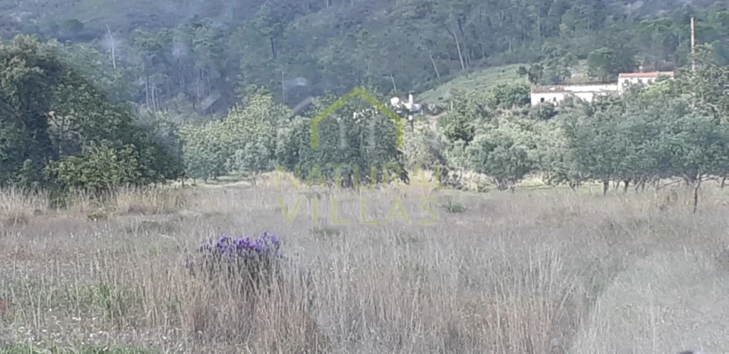 Terreno Agricola ou Rústico para Venda em Salir Foto 2